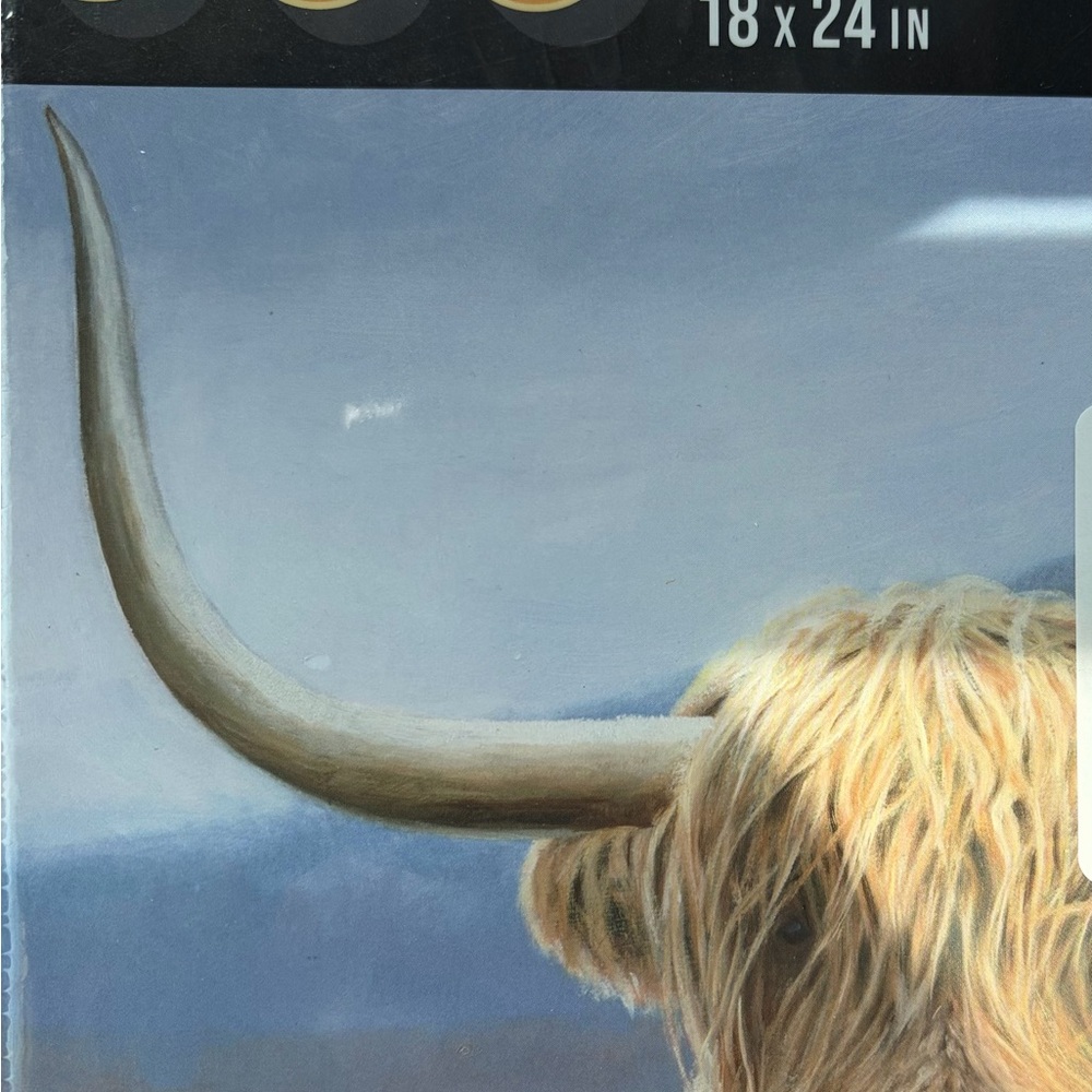 American flat Highland Cow 500 piece puzzle